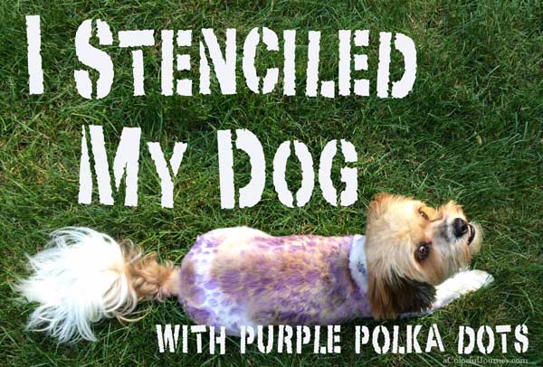 I couldn't believe they make doggie colored hair spray so I stenciled my dog! 